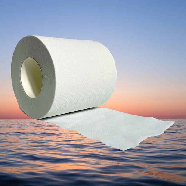 Сертификат ИСО Рулон туалетной бумаги Ресикл120г 2-слойный рулон бумаги для тиснения Индивидуальные бумажные ткани отелей